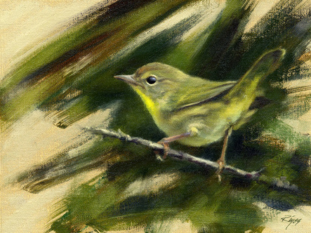 Nashville Warbler Bird Art