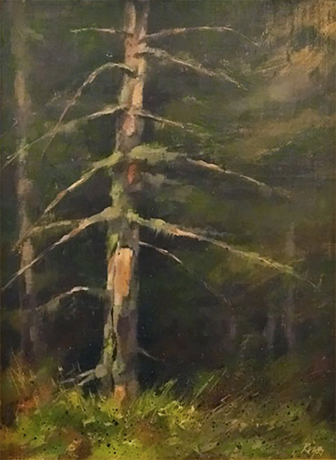 black spruce oil painting