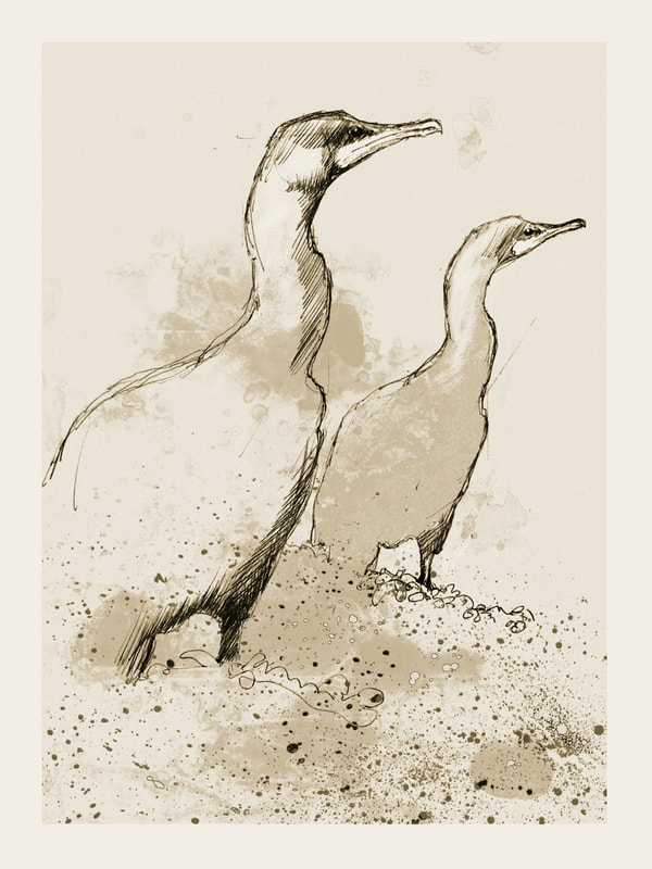 cormorants art