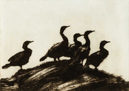 Cormorant Art