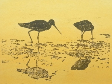 Yellowlegs woodcut bird art