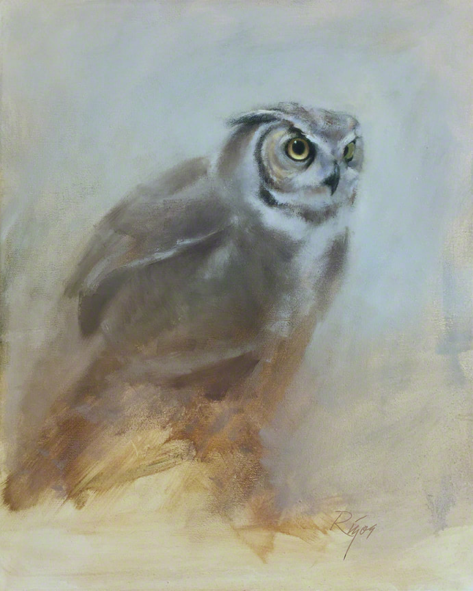 owl paintings and drawings