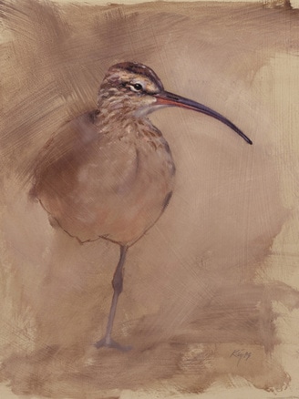 whimbrel shorebird painting